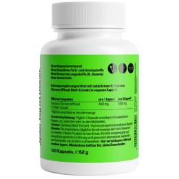 DAMIANA KAPSELN 450 mg 5:1 Blattextrakt 100 St.