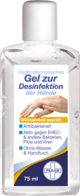 DESINFEKTIONSGEL fr die Hand antibakteriell 75 ml