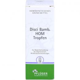 DISCI Bamb HOM Tropfen 50 ml
