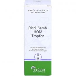 DISCI Bamb HOM Tropfen 50 ml