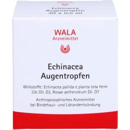 ECHINACEA AUGENTROPFEN 15 ml