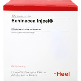 ECHINACEA INJEEL Ampullen 100 St.