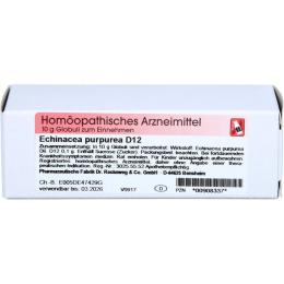 ECHINACEA PURPUREA D 12 Globuli 10 g