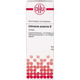 ECHINACEA PURPUREA Urtinktur 20 ml