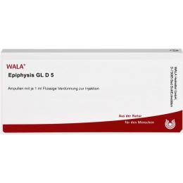 EPIPHYSIS GL D 5 Ampullen 10 ml