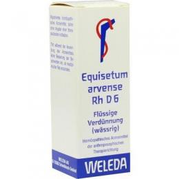 EQUISETUM ARVENSE Rh D 6 Dilution 20 ml