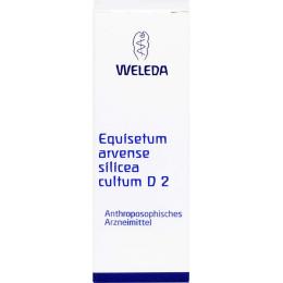 EQUISETUM ARVENSE Silicea cultum D 2 Dilution 50 ml
