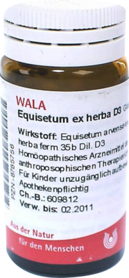 EQUISETUM EX Herba D 3 Globuli 20 g