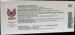 EQUISETUM EX Herba D 6 Ampullen 10X1 ml