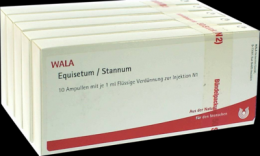 EQUISETUM/STANNUM Ampullen 50X1 ml