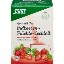 ERDBEEREN Früchtecocktail Salus Filterbeutel 15 St. (30 g)