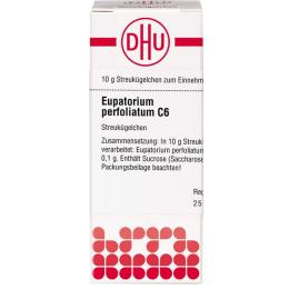 EUPATORIUM PERFOLIATUM C 6 Globuli 10 g