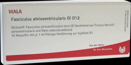 FASCICULUS atrioventricularis GL D 12 Ampullen 10X1 ml