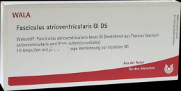 FASCICULUS atrioventricularis GL D 5 Ampullen 10X1 ml