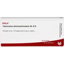 FASCICULUS atrioventricularis GL D 8 Ampullen 10 ml