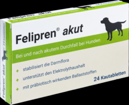 FELIPREN akut Kautabletten bei Durchfall f.Hunde 24 St