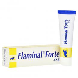 FLAMINAL Forte Enzym Alginogel 25 g Gel