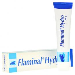 FLAMINAL Hydro Enzym Alginogel 40 g Gel