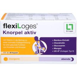 FLEXILOGES Knorpel aktiv Kapseln 120 St. (62 g)