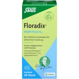 FLORADIX Eisen plus B12 vegan Kapseln 40 St. (16 g)