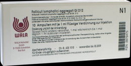 FOLLICULI LYMPHATICI aggregati GL D 12 Ampullen 10X1 ml