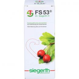 FS 53 Dr.Siegerth H flüssig 100 ml