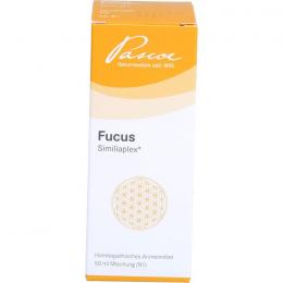 FUCUS SIMILIAPLEX Tropfen 50 ml