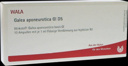 GALEA aponeurotica GL D 5 Ampullen 10X1 ml