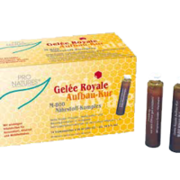 GELEE ROYAL Aufbaukur M800 Trinkampullen 14X20 g