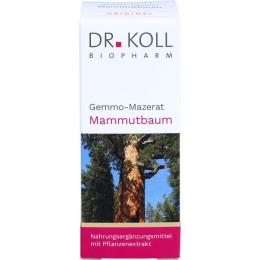 GEMMO-MAZERAT Mammutbaum Dr.Koll Sequoia giga.Tro. 50 ml