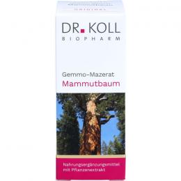 GEMMO Mazerat Mammutbaum Dr.Koll Sequoia gigantea 50 ml