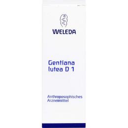 GENTIANA LUTEA D 1 Dilution 50 ml