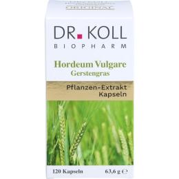 GERSTENGRAS HORDEUM vulgare Kapseln 120 St. (63,6 g)