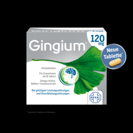 GINGIUM 120 mg Filmtablettem 120 St