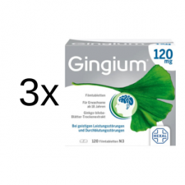 GINGIUM 120 mg Filmtabletten 3 x 120 St.