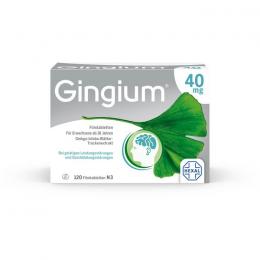 GINGIUM 40 mg Filmtabletten 120 St.