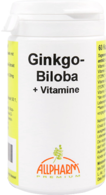 GINKGO BILOBA KAPSELN 23.4 g