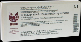GLANDULA SUPRARENALES cortex GL D 15 Ampullen 10X1 ml