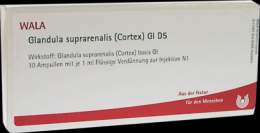 GLANDULA SUPRARENALES cortex GL D 5 Ampullen 10X1 ml