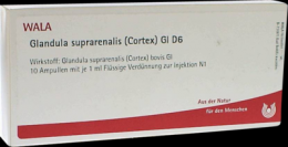 GLANDULA SUPRARENALES cortex GL D 6 Ampullen 10X1 ml