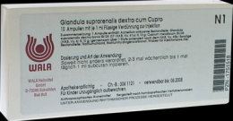 GLANDULA SUPRARENALES dextra cum Cupro Ampullen 10X1 ml