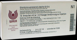 GLANDULA SUPRARENALES dextra GL D 6 Ampullen 10X1 ml