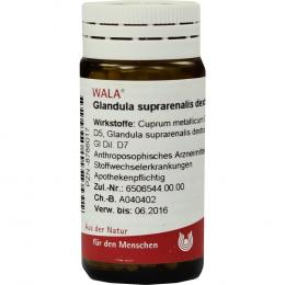 Ein aktuelles Angebot für GLANDULA SUPRARENALIS dextra cum Cupro Globuli 20 g Globuli Homöopathische Komplexmittel - jetzt kaufen, Marke WALA Heilmittel GmbH.