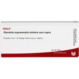 GLANDULA SUPRARENALIS sinistra cum Cupro Ampullen 10 ml