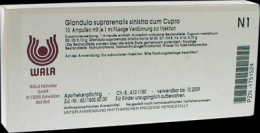 GLANDULA SUPRARENALIS sinistra cum Cupro Ampullen 10X1 ml