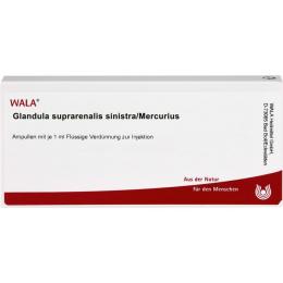 GLANDULA SUPRARENALIS sinistra/Mercurius Ampullen 10 ml