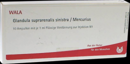 GLANDULA SUPRARENALIS sinistra/Mercurius Ampullen 10X1 ml