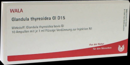 GLANDULA THYREOIDEA GL D 15 Ampullen 10X1 ml