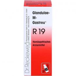 GLANDULAE-M-Gastreu R19 Mischung 50 ml