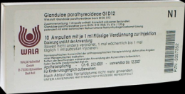 GLANDULAE PARATHYREOIDEAE GL D 12 Ampullen 10X1 ml
